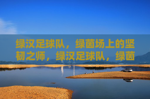 绿汉足球队,绿茵场上的坚韧之师,绿汉足球队,绿茵场上的坚韧之师