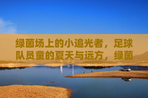 绿茵场上的小追光者,足球队员童的夏天与远方,绿茵场上的小追光者,夏天的足球队与远方
