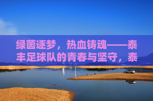 绿茵逐梦,热血铸魂——泰丰足球队的青春与坚守,泰丰足球队,绿茵逐梦,青春坚守
