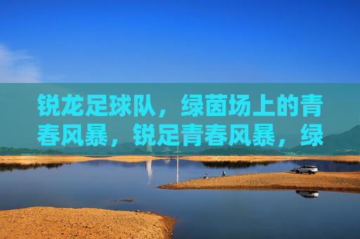 锐龙足球队,绿茵场上的青春风暴,锐足青春风暴,绿茵场上的热血锋芒