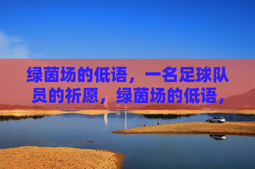 绿茵场的低语，一名足球队员的祈愿，绿茵场的低语，球员祈愿