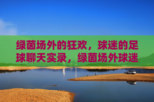绿茵场外的狂欢,球迷的足球聊天实录,绿茵场外球迷足球狂欢聊天实录
