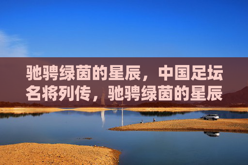 驰骋绿茵的星辰，中国足坛名将列传，驰骋绿茵的星辰，中国足坛名将列传