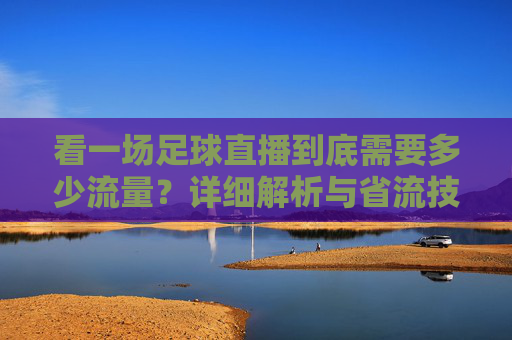 看一场足球直播到底需要多少流量?详细解析与省流技巧,看足球直播需多少流量?详细解析与省流技巧