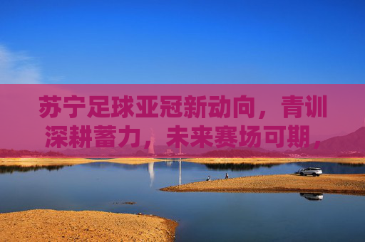 苏宁足球亚冠新动向，青训深耕蓄力，未来赛场可期，苏宁足球亚冠新动向，青训深耕蓄力，未来赛场可期