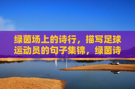 绿茵场上的诗行，描写足球运动员的句子集锦，绿茵诗行，足球运动员句子集锦