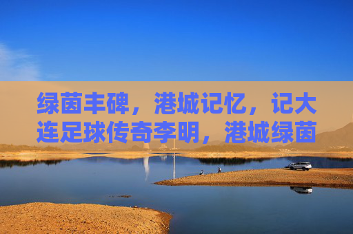 绿茵丰碑,港城记忆,记大连足球传奇李明,港城绿茵丰碑,大连足球传奇李明