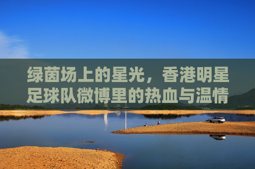 绿茵场上的星光,香港明星足球队微博里的热血与温情,香港明星足球队,绿茵星光与微博热血温情的交响