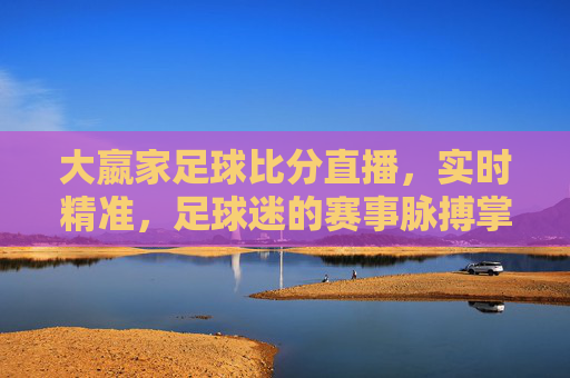 大嬴家足球比分直播，实时精准，足球迷的赛事脉搏掌上观，大嬴家，实时精准足球比分直播，足球迷掌上赛事脉搏