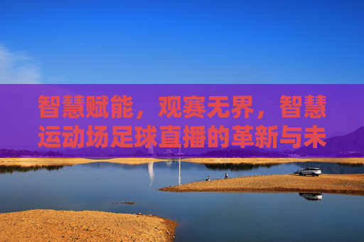 智慧赋能,观赛无界,智慧运动场足球直播的革新与未来,智慧赋能,观赛无界,足球直播的革新与未来