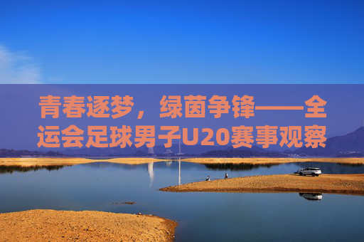 青春逐梦，绿茵争锋——全运会足球男子U20赛事观察，青春逐梦，绿茵争锋，全运会U20男子足球