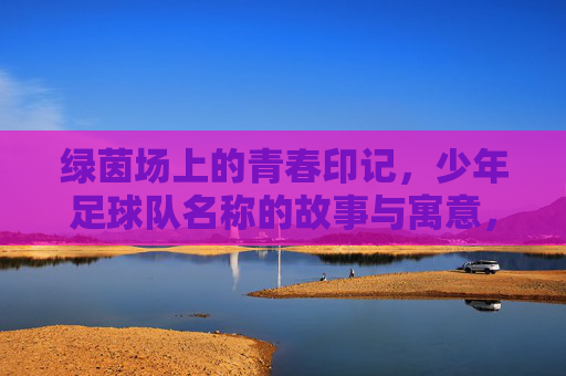 绿茵场上的青春印记,少年足球队名称的故事与寓意,绿茵少年队名记,青春印记与故事