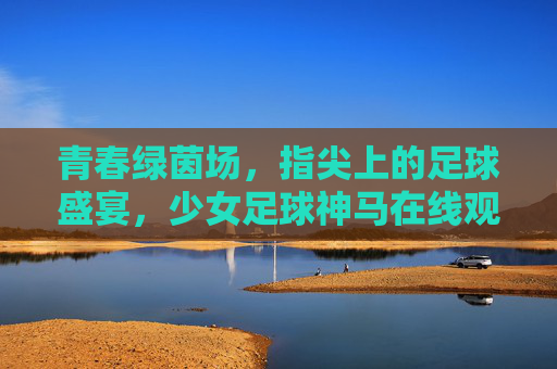 青春绿茵场，指尖上的足球盛宴，少女足球神马在线观看全攻略，少女足球全攻略，神马在线观看青春绿茵盛宴