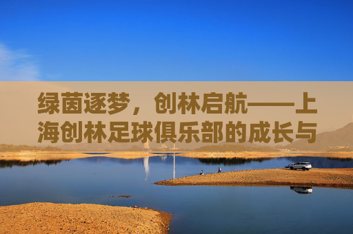 绿茵逐梦,创林启航——上海创林足球俱乐部的成长与展望,创林逐梦,绿茵启航,上海足球俱乐部的成长展望