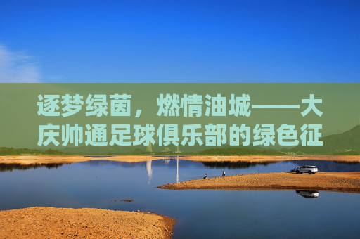 逐梦绿茵，燃情油城——大庆帅通足球俱乐部的绿色征程，大庆帅通，逐梦绿茵的油城绿色征程