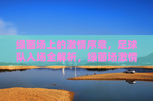绿茵场上的激情序章,足球队入场全解析,绿茵场激情序章,足球队入场全解析