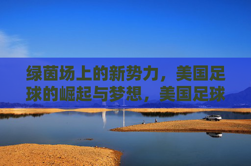 绿茵场上的新势力,美国足球的崛起与梦想,美国足球,绿茵场新势力的崛起与梦想