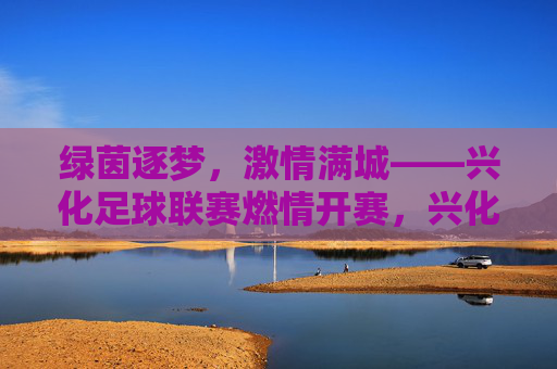 绿茵逐梦，激情满城——兴化足球联赛燃情开赛，兴化足球联赛燃情开赛，绿茵逐梦，激情满城