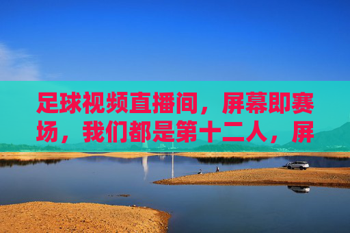 足球视频直播间,屏幕即赛场,我们都是第十二人,屏幕即赛场,我们都是第十二人