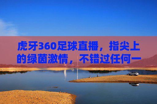 虎牙360足球直播，指尖上的绿茵激情，不错过任何一场精彩，虎牙360足球直播，指尖上的绿茵激情，不错过每一场精彩