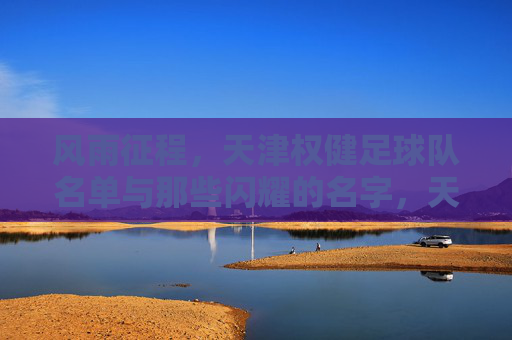 风雨征程,天津权健足球队名单与那些闪耀的名字,天津权健足球队名单,风雨征程与闪耀名字