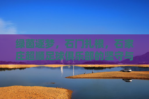 绿茵逐梦,石门扎根,石家庄超顺足球俱乐部的坚守与成长