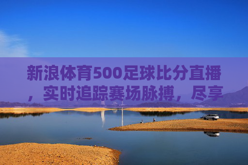 新浪体育500足球比分直播，实时追踪赛场脉搏，尽享足球激情，新浪体育500足球比分直播，实时追踪赛场脉搏，尽享足球激情