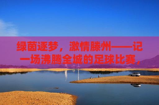 绿茵逐梦,激情滕州——记一场沸腾全城的足球比赛,滕州绿茵逐梦,全城足球沸腾