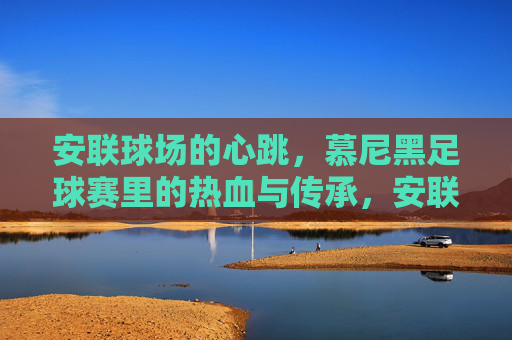 安联球场的心跳,慕尼黑足球赛里的热血与传承,安联球场的心跳,慕尼黑足球的热血传承