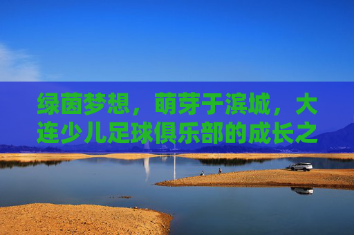 绿茵梦想，萌芽于滨城，大连少儿足球俱乐部的成长之路，绿茵梦想从滨城萌芽，大连少儿足球俱乐部的成长之路