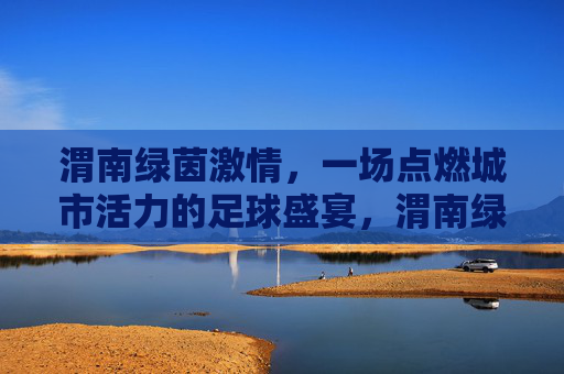 渭南绿茵激情，一场点燃城市活力的足球盛宴，渭南绿茵盛宴，足球激情燃动城市