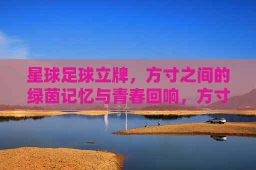 星球足球立牌，方寸之间的绿茵记忆与青春回响，方寸绿茵，青春回响