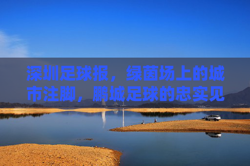 深圳足球报,绿茵场上的城市注脚,鹏城足球的忠实见证者