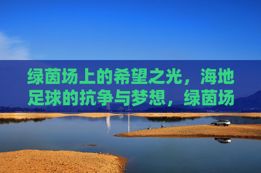 绿茵场上的希望之光,海地足球的抗争与梦想,绿茵场上的希望之光,海地足球的抗争与梦想