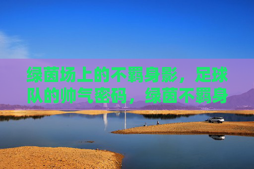 绿茵场上的不羁身影,足球队的帅气密码,绿茵不羁身影,足球队的帅气密码