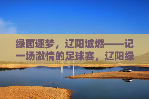 绿茵逐梦，辽阳城燃——记一场激情的足球赛，辽阳绿茵逐梦，足球激情燃城