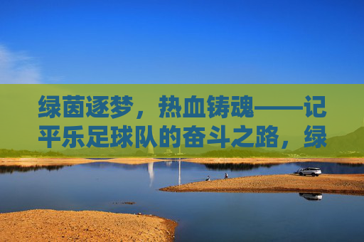 绿茵逐梦，热血铸魂——记平乐足球队的奋斗之路，绿茵逐梦，热血铸魂——平乐足球队奋斗之路