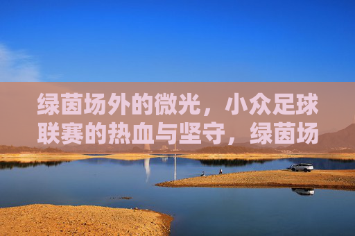 绿茵场外的微光，小众足球联赛的热血与坚守，绿茵场外微光，小众联赛的热血坚守