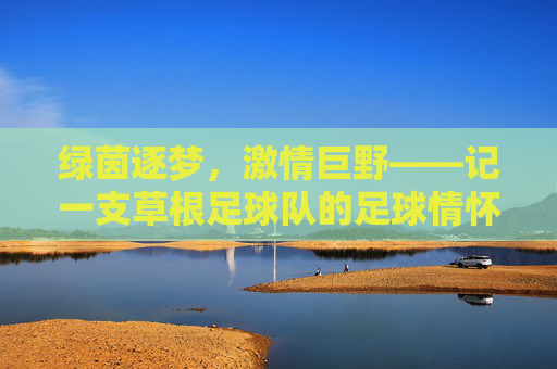 绿茵逐梦,激情巨野——记一支草根足球队的足球情怀,绿茵逐梦,巨野草根足球情