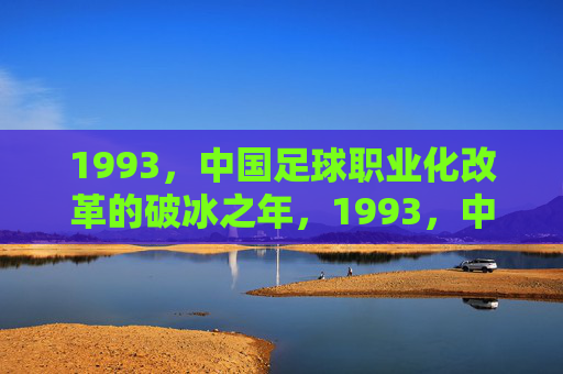 1993,中国足球职业化改革的破冰之年,1993,中国足球职业化改革的破冰之年