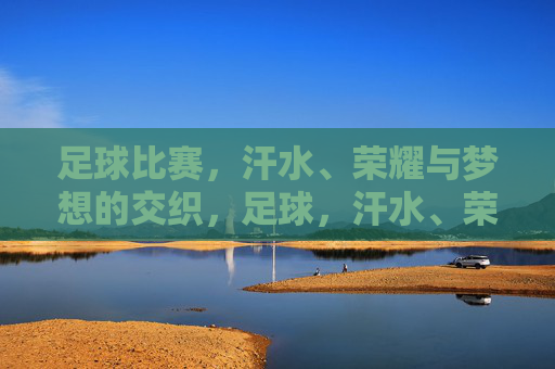 足球比赛，汗水、荣耀与梦想的交织，足球，汗水、荣耀与梦想的交响