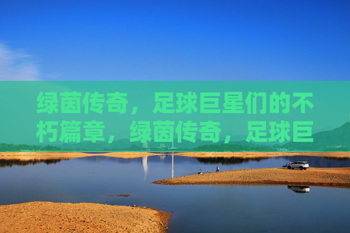绿茵传奇，足球巨星们的不朽篇章，绿茵传奇，足球巨星的不朽篇章