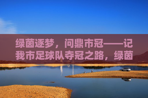 绿茵逐梦,问鼎市冠——记我市足球队夺冠之路,绿茵逐梦,问鼎市冠
