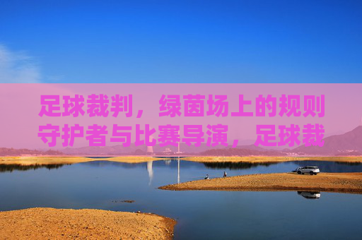 足球裁判,绿茵场上的规则守护者与比赛导演,足球裁判,绿茵场上的规则守护者与比赛导演