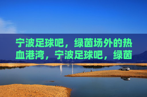 宁波足球吧,绿茵场外的热血港湾,宁波足球吧,绿茵场外的热血港湾