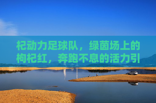 杞动力足球队,绿茵场上的枸杞红,奔跑不息的活力引擎,杞动力,绿茵枸杞红,活力引擎