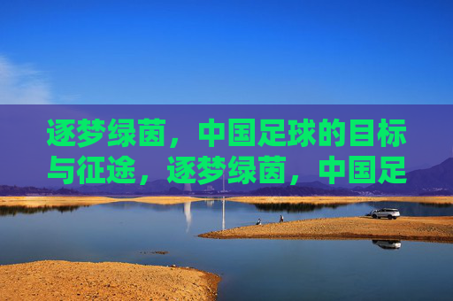 逐梦绿茵，中国足球的目标与征途，逐梦绿茵，中国足球的目标与征途