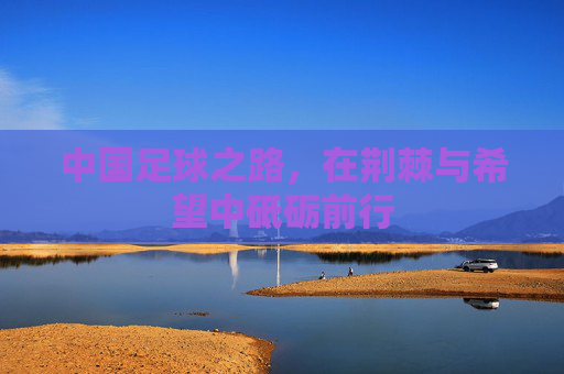中国足球之路,在荆棘与希望中砥砺前行
