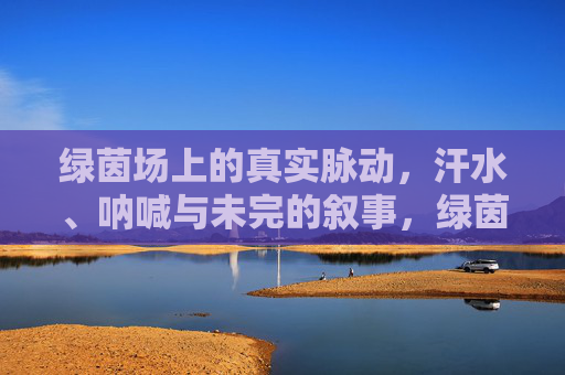 绿茵场上的真实脉动,汗水、呐喊与未完的叙事,绿茵脉动,汗水呐喊与未完叙事