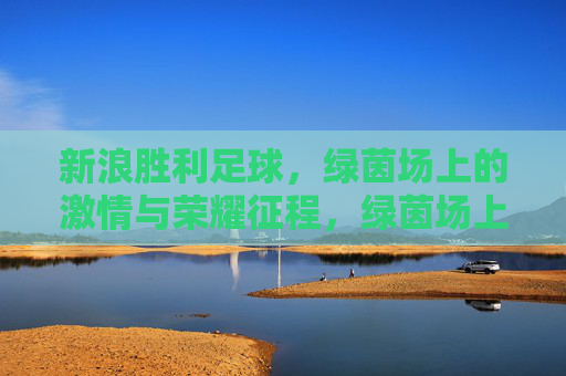 新浪胜利足球，绿茵场上的激情与荣耀征程，绿茵场上的激情与荣耀征程